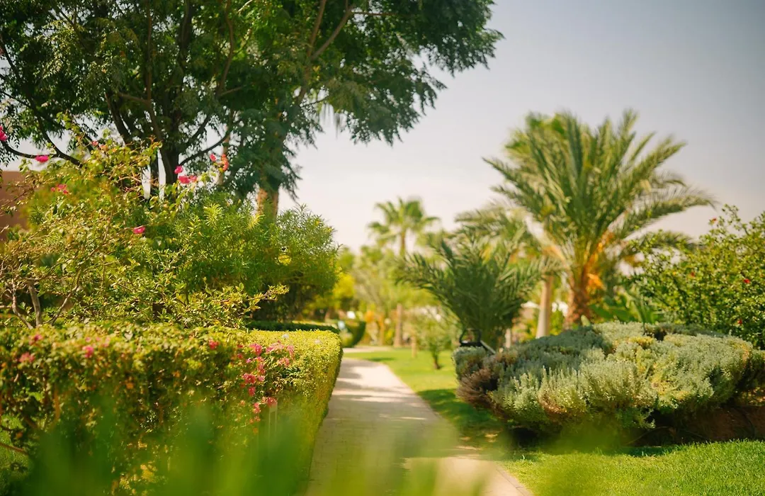 Be Live Collection Marrakech Adults Only All Inclusive-1