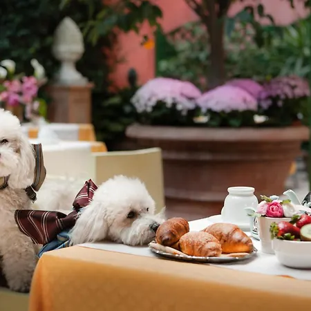 Hotel Palazzo Dal Borgo-3