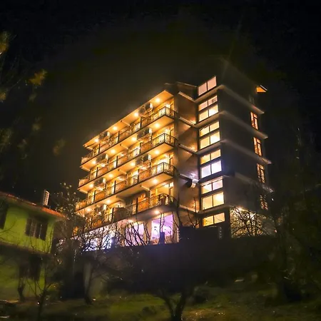 Hotel Old Smugglers With Balcony Mountain View Ac Hot And Cold Near To Hadimba Temple-3