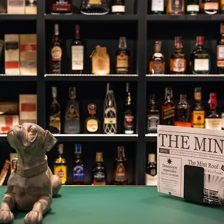 Vincci The Mint-2