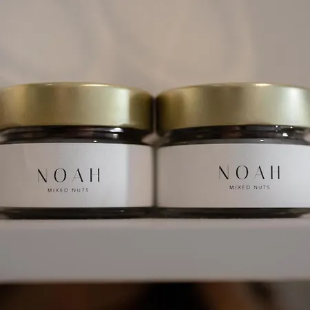 Noah House-2