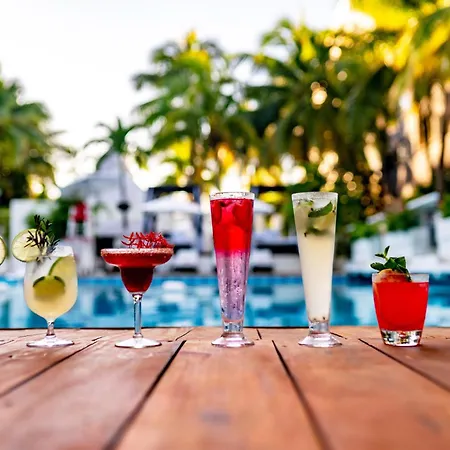 Oh! Cancun - The Urban Oasis & Beach Club (Adults Only)-3