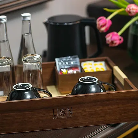Hanoi Lion Boutique Hotel & Spa-2