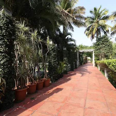 Gubbi Goodu Green Resort-3