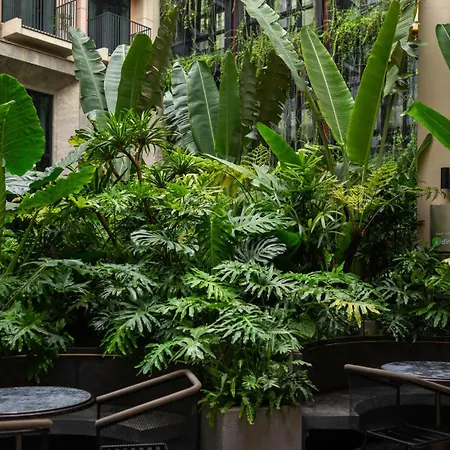 Rey Hotel Hanoi-3