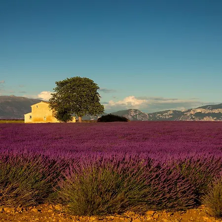 Provence